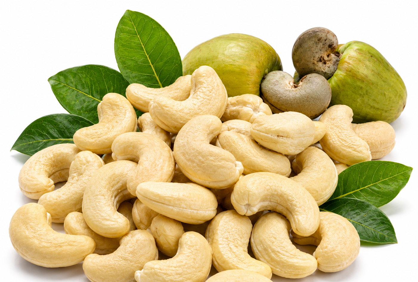 Cashew