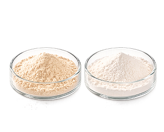 Chitin & Chitosan powder